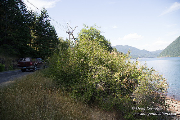 PCRAY Boat Ramp
