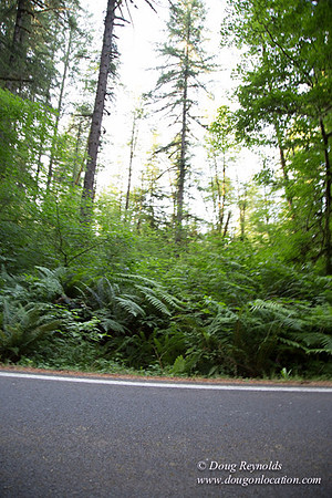 PCRACB Ramp