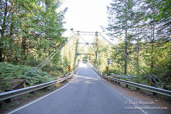 503Y Bridge