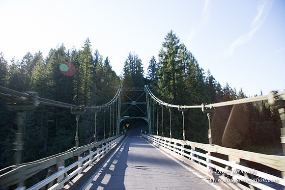 503Y Bridge