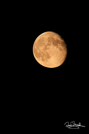 Full Moon