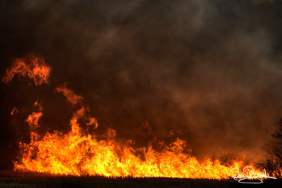 Feild Fire in Banks, Oregon