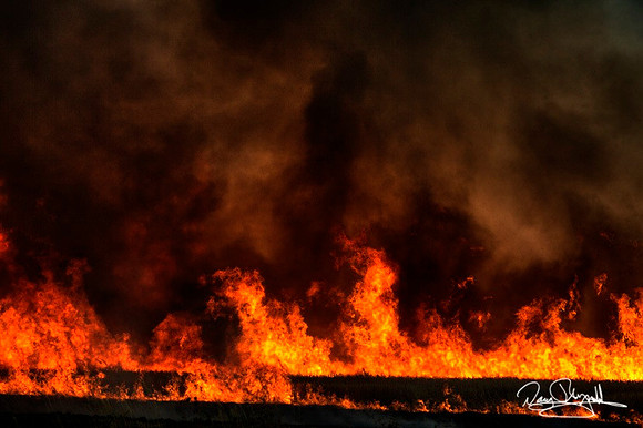 Feild Fire in Banks, Oregon