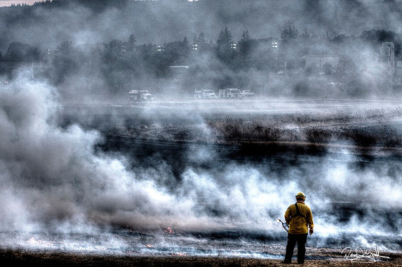 Feild Fire in Banks, Oregon