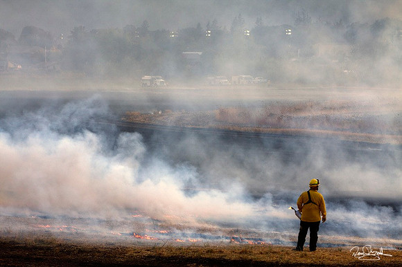 Feild Fire in Banks, Oregon