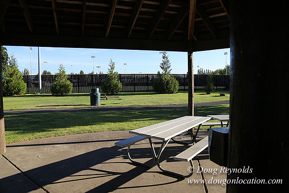 Lincoln Park-0650