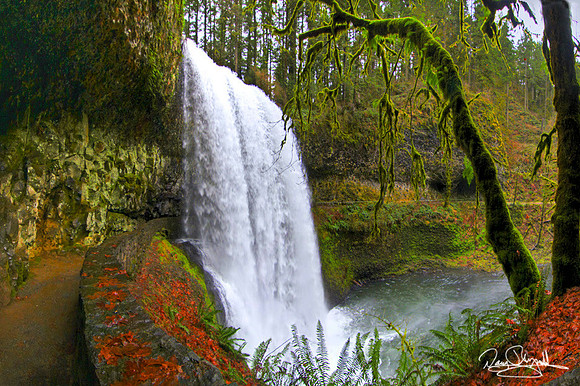 Water Fall in Oregon