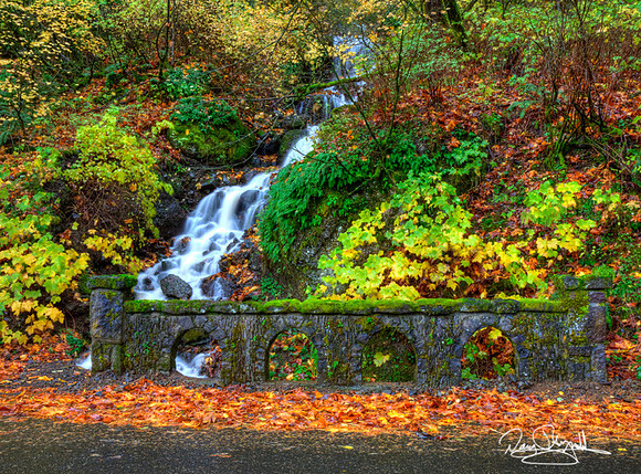 Water Fall in Oregon