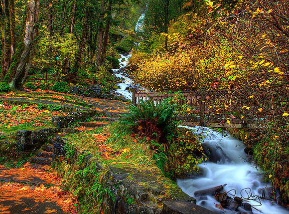 Water Fall in Oregon
