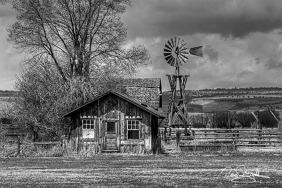 B&W Old Cabin & Windmill