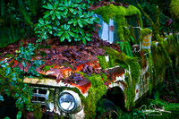 Old Moss covered truck