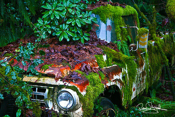 Old Moss covered truck