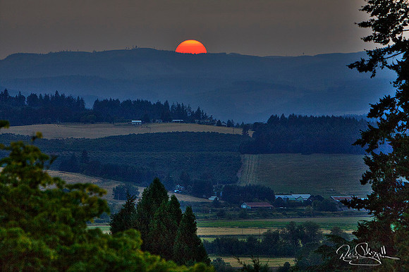 Gibson Sunset
