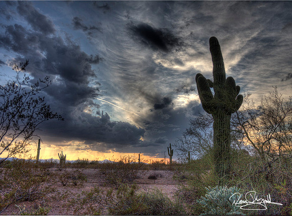 Arizona Sunset-szsg-H0014BL