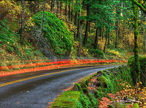 Tail Lights Gorge-srszsg-H5904BLS