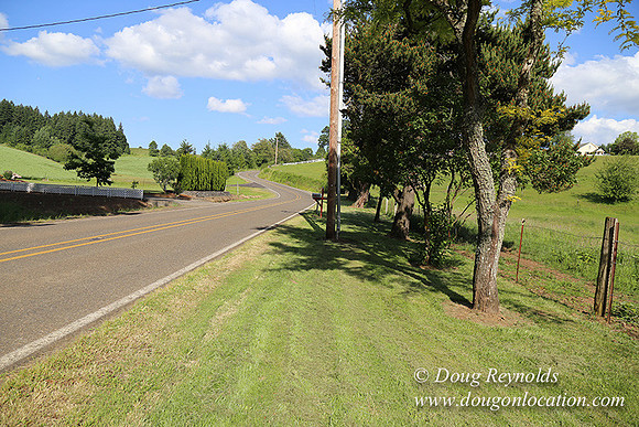Helvetia rd at Mikes-5949