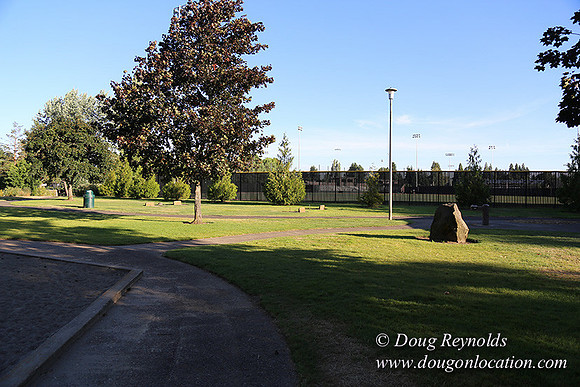 Lincoln Park-0639