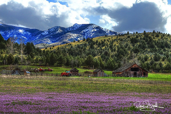 Barns Old Trucks JohnDay-srszsg-H9792BL