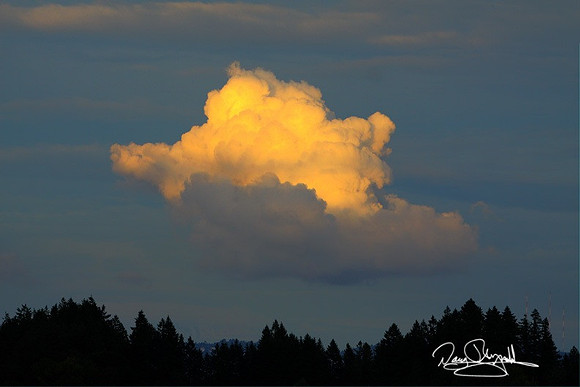 Cloud-szsg-H2034BL