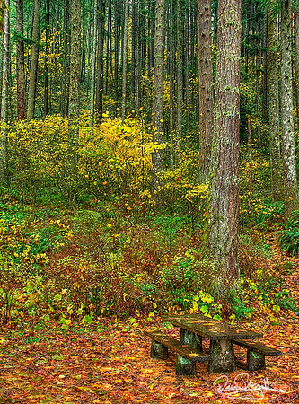 Picknick table Gorge-srszsg-V5779BLS