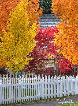 FG White Fence Fall Color-srszsg-V2281BLS