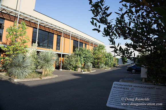 Citizen Building