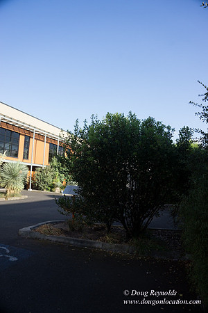 Citizen Building