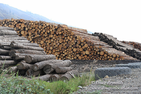 SDS Lumber-1414