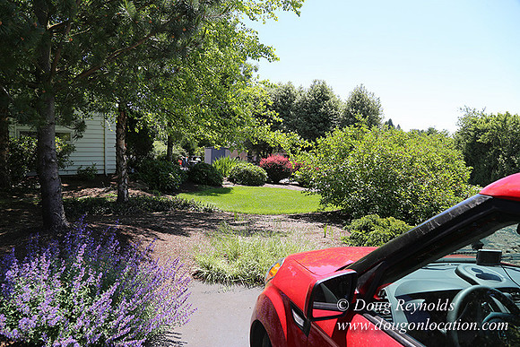 Scotts House-5369