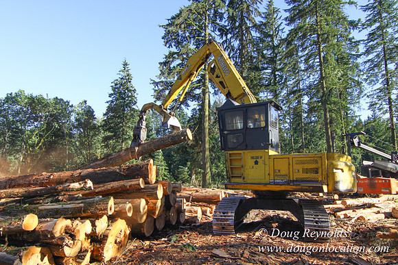 Craig Logging-3174