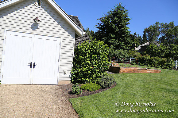Charlie's  House-5552