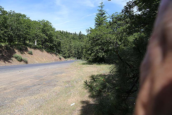 Canyon Rd 2-7994