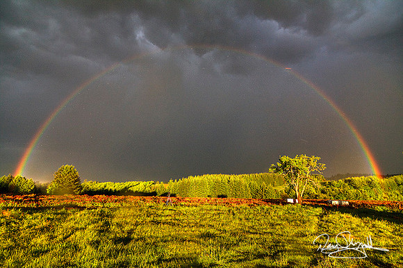 Rainbow over Clover-fxsrszsg-2965BLS
