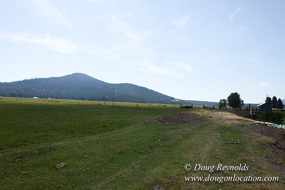 2500 Acres of green fields Creeks water crossing Bridges on a Large Lake and miles of Dirt roads Oak trees Forest land ATV Trails cows