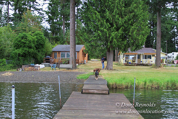 Cabin, Curtis, Dock, Green, Home, Lake, Small, WA, Washington, Yard, Yard, deck