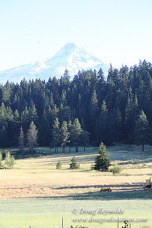 Elk Haven Ranch-8589