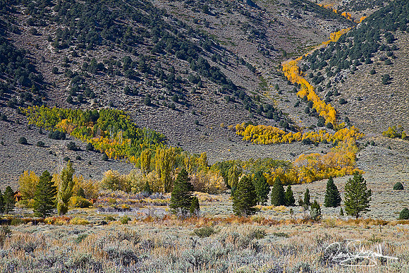 Fall Color-szsg-9822