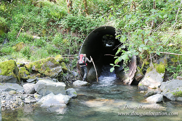 Ross on Jerry Flt Creek-2564