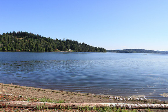 Boat, Cabin, Dave's, Dock, Home, "House lake", Ocean, "Puget Sound", Salt, Small, WA, Washington, Water, Yard, deck, "green. Beach", vacation