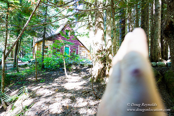 Karri's Cabin