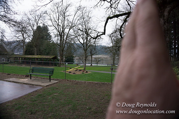 Sellwood Park-2353