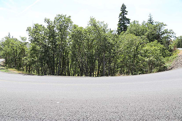 Canyon Rd 2-7996