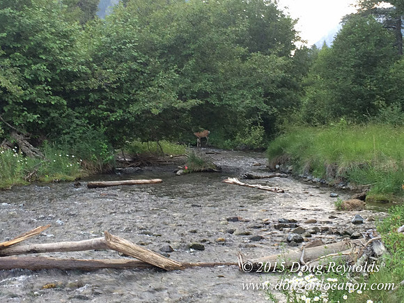 Wallowa Loake