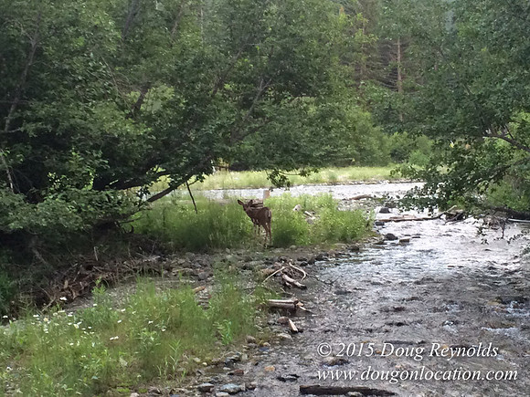 Wallowa Loake