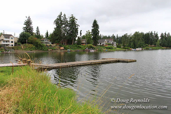 Cabin, Curtis, Dock, Green, Home, Lake, Small, WA, Washington, Yard, Yard, deck