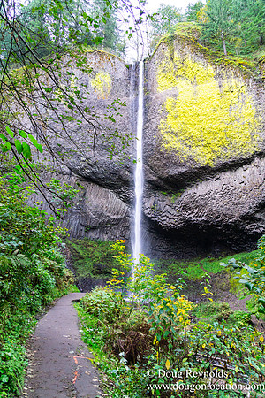 SNog Productions Sony 2016 Oregon