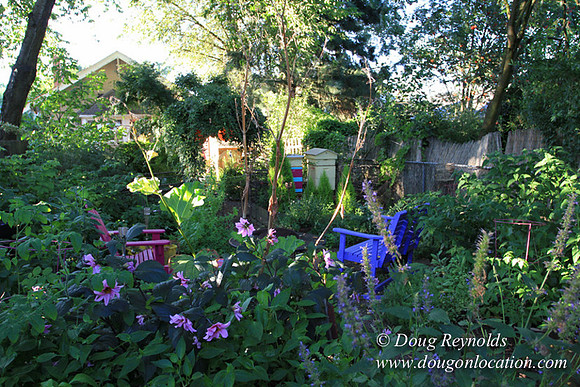 Home" Bungalow, Bee's Back yard Chickens, Small,