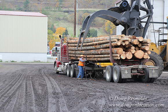 SDS Lumber-1462