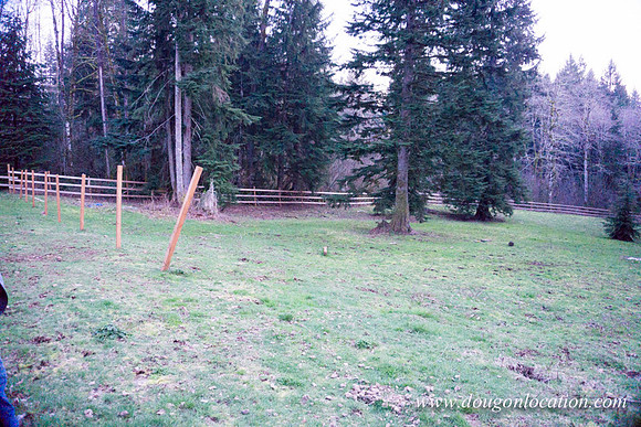 Adams Farm-3102