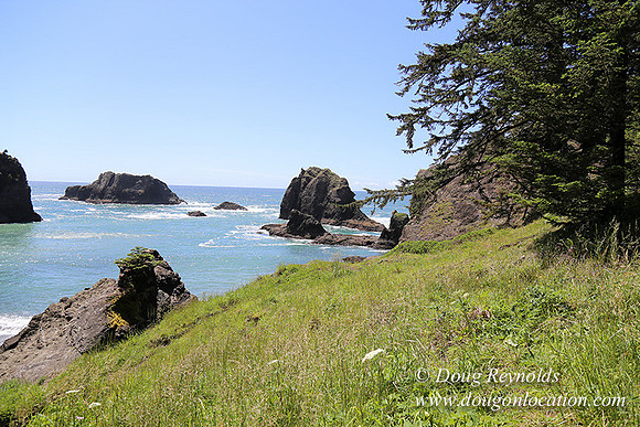 33 Beach SB81-2770